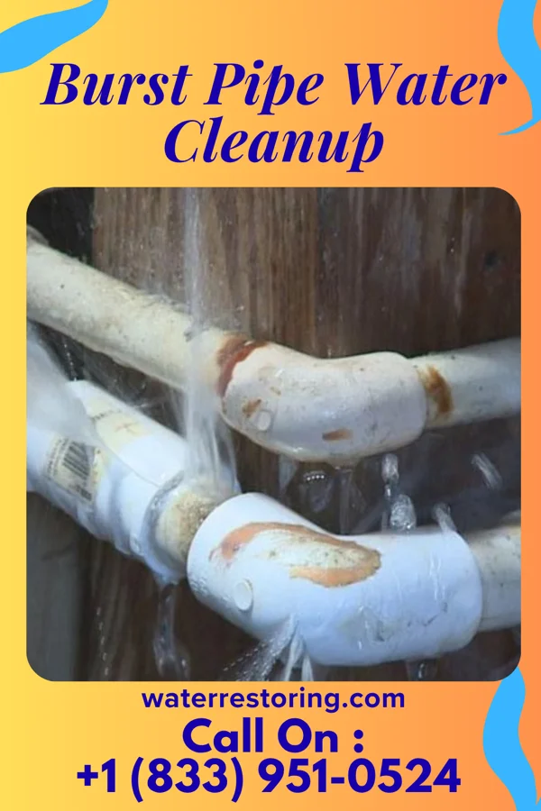 Burst Pipe Water Cleanup in Walnut, IL