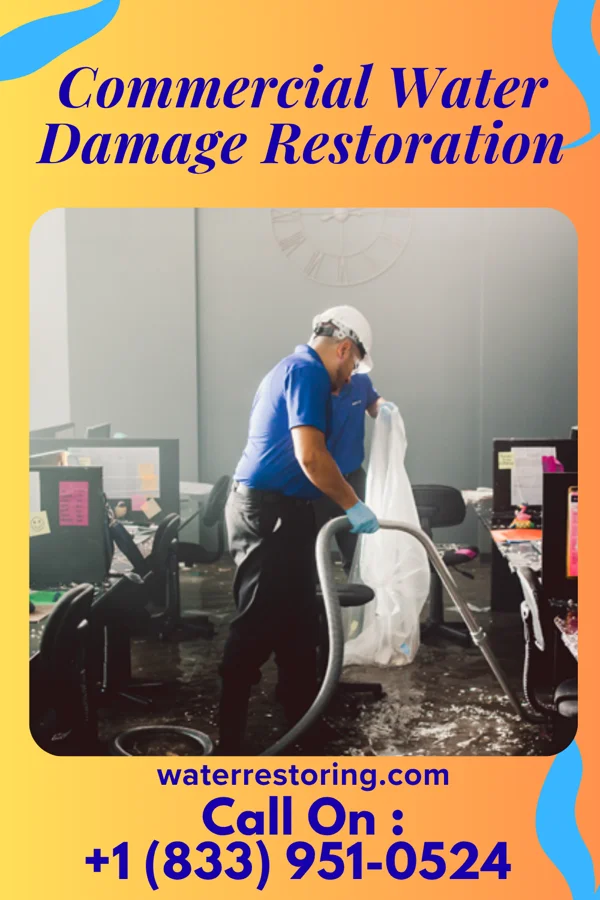 Commercial Water Damage Restoration in Walnut, IL