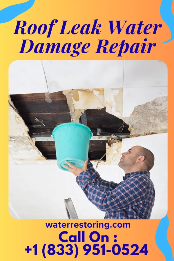 Roof Leak Water Damage Repair in Walnut, IL